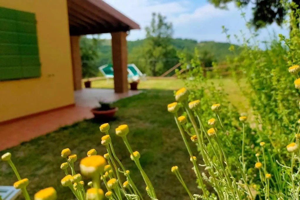 Villa Con Piscina 10 Posti Letto, L'Oliveta Di Rivalto Chianni