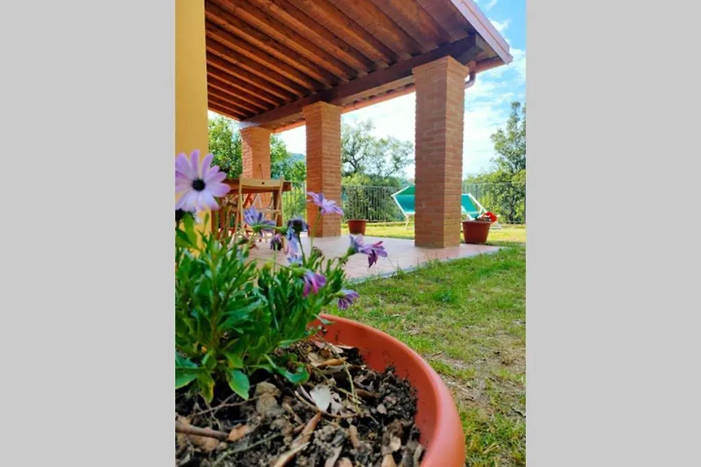 Villa Con Piscina 10 Posti Letto, L'Oliveta Di Rivalto Chianni