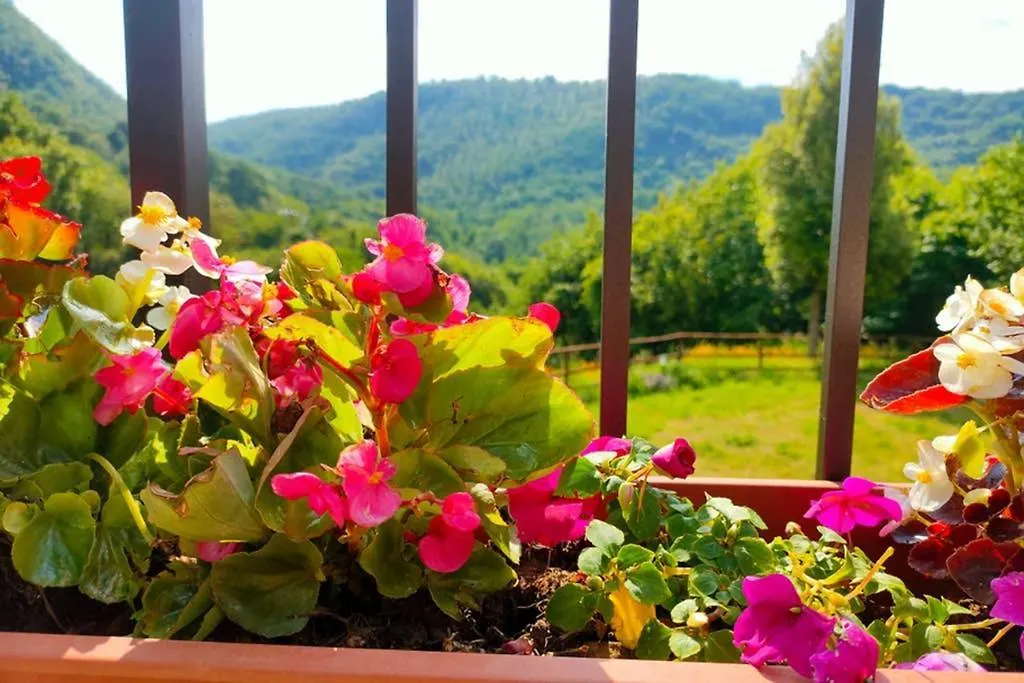 Villa Con Piscina 10 Posti Letto, L'Oliveta Di Rivalto Chianni 0*,  Italy